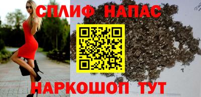 гидра Нальчик
