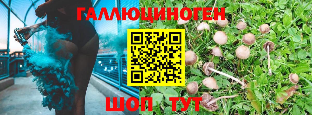 Псилоцибиновые грибы мухоморы  Вход с VPN  Углич 