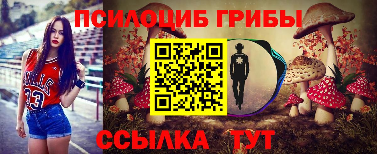 Галлюциногенные грибы Psilocybe Углич